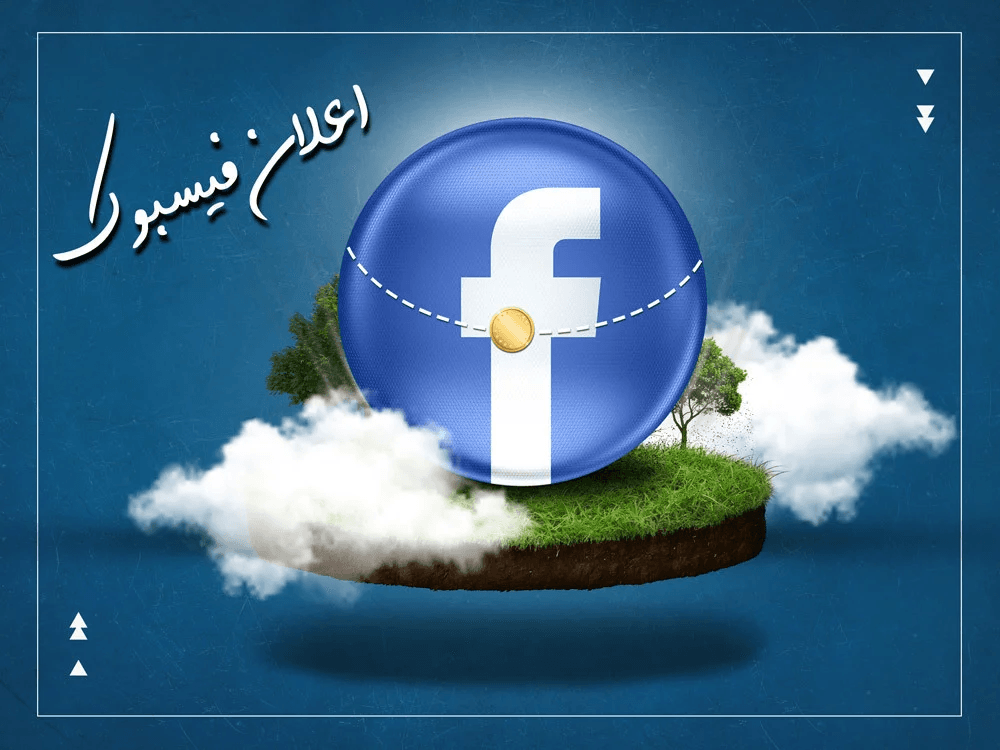 Professional Facebook Ads Management